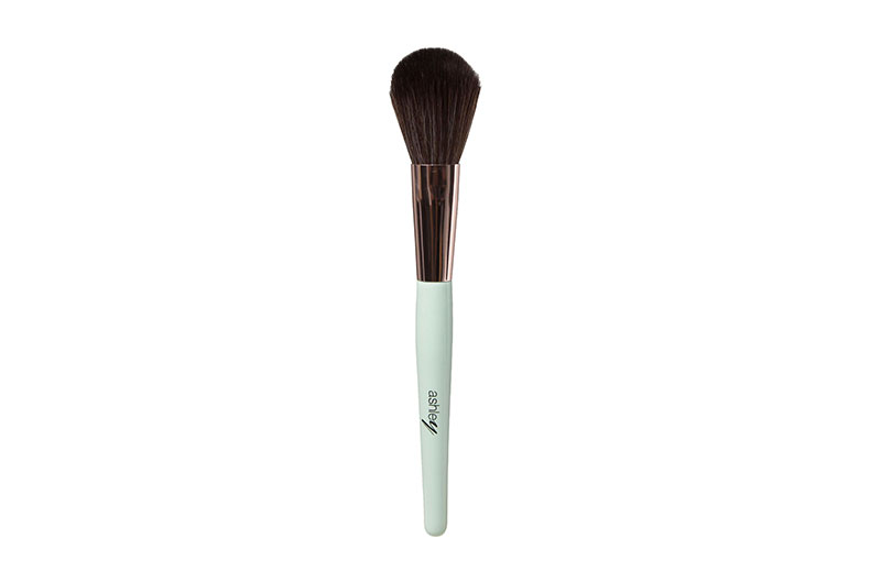 Ashley Tapered Brush