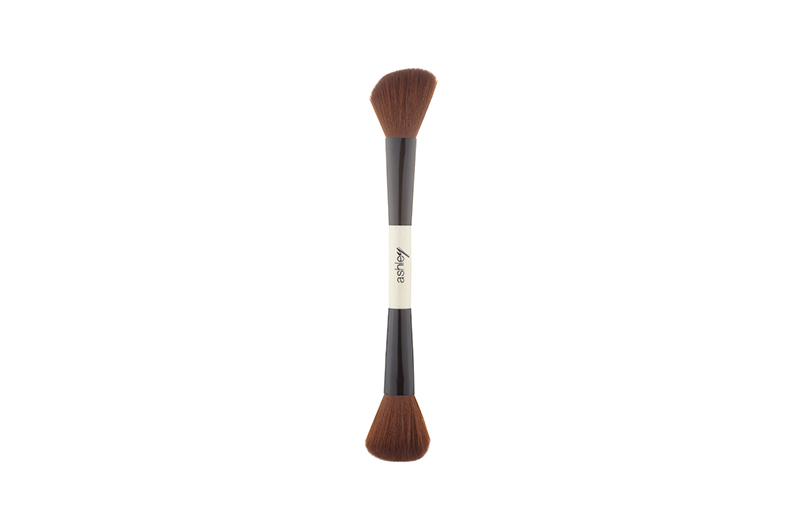 Ashley Brush 2in1